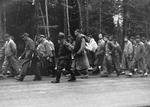 Prisoners from Dachau on a forced march along Nördliche Münchner Street in Grünwald, Germany toward camps deeper in Germany as Allied forces closed in, 29 Apr 1945