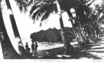Postcard featuring coast of Dalici Gau, Fiji, 1940s