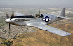 A restored North American A-36A Mustang aircraft in flight, post-war; note 