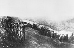 Captured German photograph showing civilians being executed at the Babi Yar ravine, Kyiv, Ukraine, late 1941 to 1942