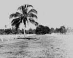 US military cemetery, Guadalcanal, Solomon Islands, date unknown