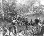 US Marines resting in the field on Guadalcanal, Solomon Islands, circa Aug-Dec 1942; note Springfield M1903 rifles and a Browning Automatic Rifle gunner on far right