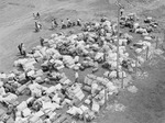 Baggage belonging to recently relocated Japanese-Americans, Salinas, California, United States, 1942