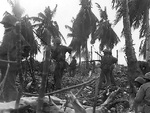 US Marines advancing on Eniwetok, Marshall Islands, 23 Feb 1944; note bayonets fixed on rifles