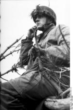 German paratrooper observing the field from a treetop position, Monte Cassino, Italy, 1943-1944, photo 1 of 2