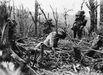 American soldiers advancing past a dead Japanese soldier near Balete Pass, Luzon, Philippine Islands, 12 Apr 1945