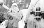 Finnish satchel charge (in hand) and Molotov cocktail (on belt), Finland, 1939-1940