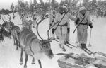 Finnish soldiers on skis with reindeers, near Jäniskoski, northern Finland, 20 Feb 1940