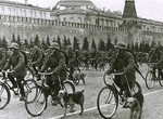 Soviet bicycle troops with war dogs on parade, Red Square, Moscow, Russia, 1 May 1938