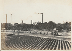 Light railway of the sugar industry at Takao (now Kaohsiung), Taiwan, circa 1920s