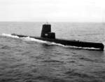 USS Blackfin underway, 1952