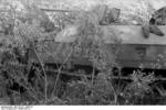 A camouflaged German SdKfz. 250/10 halftrack vehicle armed with a PaK 36 gun in southern Ukraine, 1943