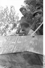 German soldiers in a SdKfz. 250 halftrack vehicle playing with a puppy, Ukraine, circa 1943-1944