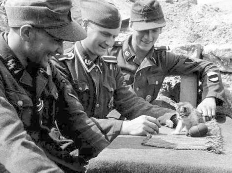 Men of 20th Estonian SS Volunteer Division playing with a kitten, 1944-1945; note Model 39 Eihandgranate nearby