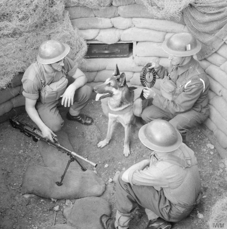 Troops of the British Eastern Command, date unknown; note Bren gun, ammunition carrier dog 'Mark', and Lewis gun pan magazine
