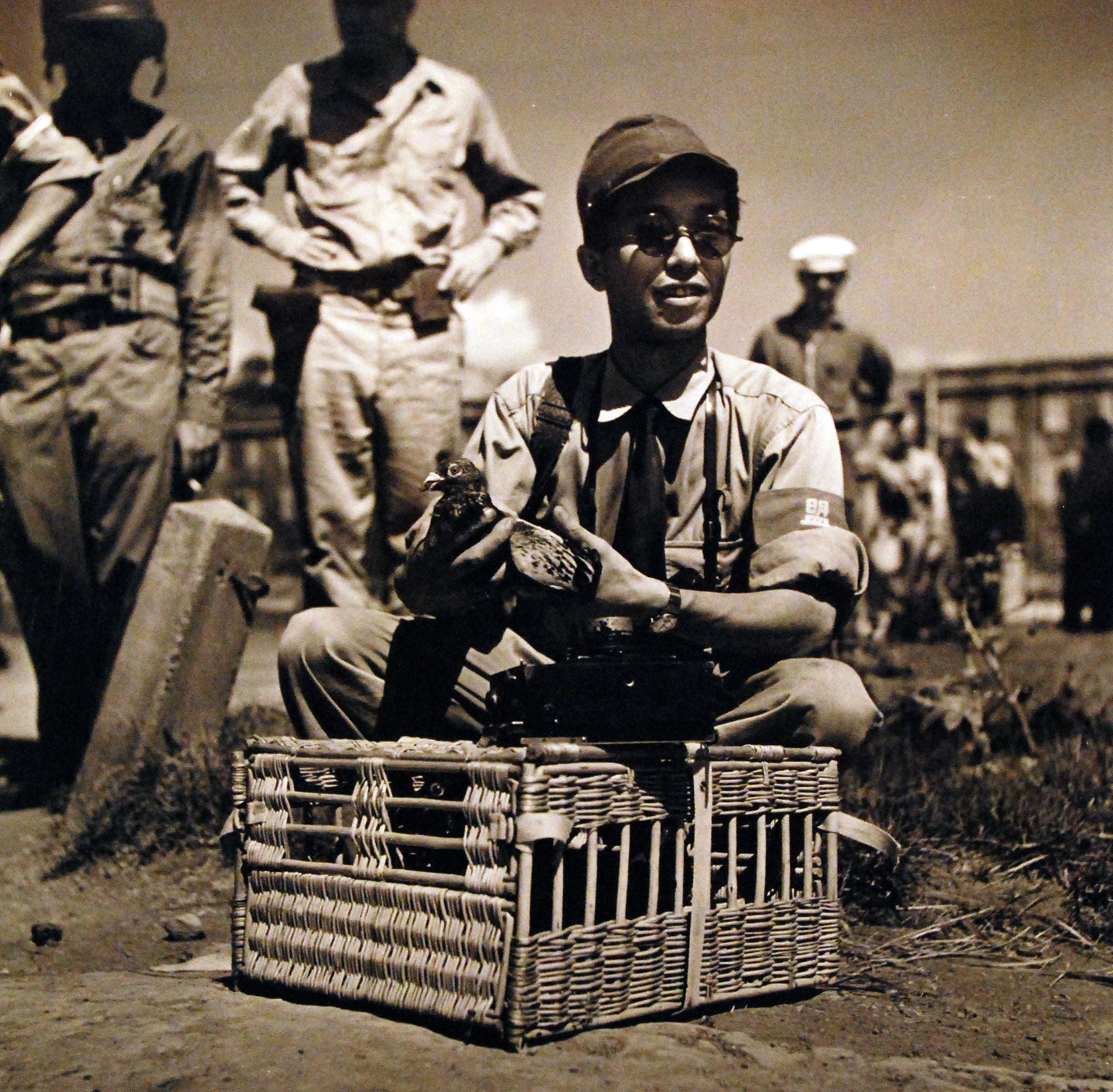 Japanese photographer T. Iwamoto attaching film of surrender of Yokosuka Navy Base to a pigeon for transport to Domeo News Agency in Tokyo, Japan, Aug 1945
