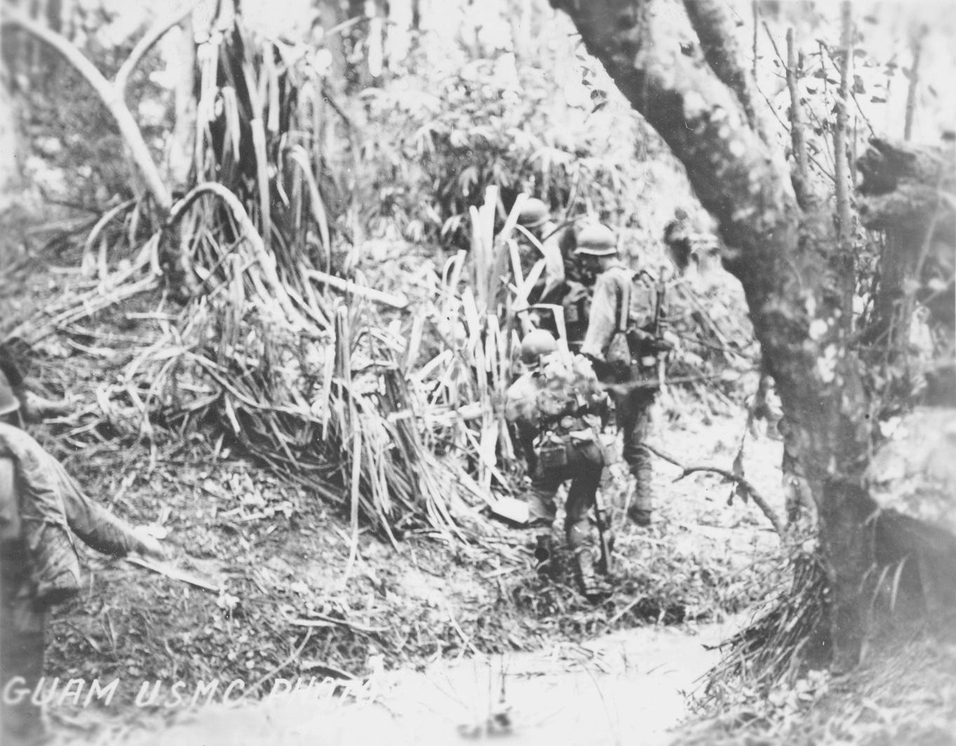 US Marines in jungle terrain, Guam, Jul-Aug 1944