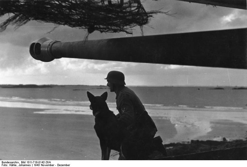 German soldier and war dog beneath a coastal gun, France, Nov-Dec 1943