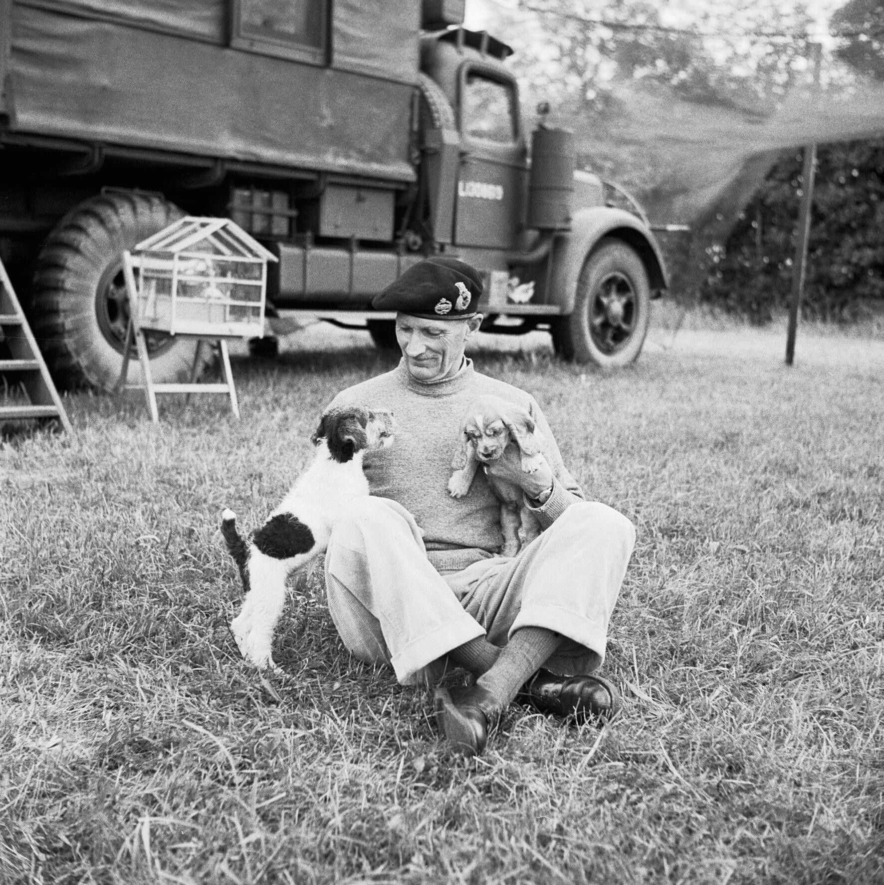 General Bernard Montgomery relaxing with his traveling companions, a fox terrier puppy named “Hitler” and a spaniel puppy named “Rommel,” at his headquarters at Blay, Normandy, France, 6 Jul 1944.