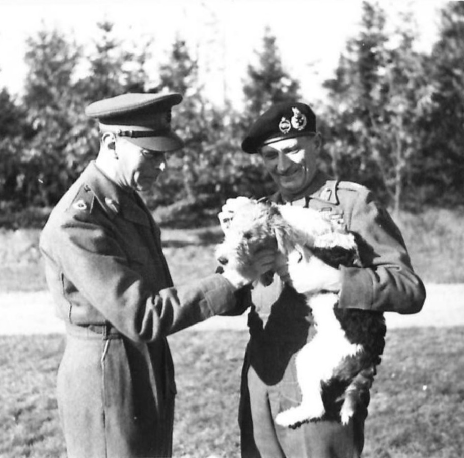 King George VI of the United Kingdom, Field Marshal Bernard Montgomery, and Montgomery’s fox terrier puppy named “Hitler” at Montgomery’s headquarters in the Netherlands, 15 Oct 1944.