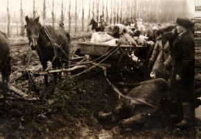 German horse-drawn logistics unit, date and location unknown