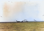 C-47 Skytrains tow CG-4A Gliders to their landing areas on D+1 of Operation Market Garden, Sep 18 1944