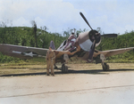 F4U-1 Corsair of Marine Squadron VMF-215 at the Munda Airstrip, New Georgia, Solomons, 1943