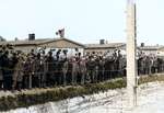 Prisoners at Dachau concentration camp cheer as the US 42nd Division moves in to liberate the camp, 3 May 1945