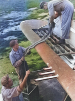 Armorers loading belts of .50 caliber ammunition into the four ammo trays in one wingtip of a P-47 thunderbolt, date and location unknown.