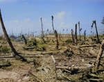 View of Kwajalein, Marshall Islands, 1944