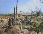 View of Kwajalein, Marshall Islands, 1944