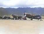 P-47 Thunderbolt aircraft of the 318th Fighter Group lined up for an inspection at Bellows Field, Oahu, US Territory of Hawaii, 15 May 1944. Photo 8 of 8.