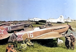 Soviet Yak-9 fighters and American B-17 Fortress bombers of the 99th Bomb Group based in Italy, along with Soviet and American crews, at Poltava, Ukraine as part of Operation Frantic, 21 Jun 1944.