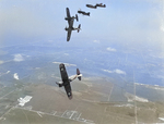 F2A-3 Buffalo fighters during a training flight near Naval Air Station Miami, Florida, United States, 1942-1943