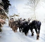 Troops of US 82nd Airborne Division marching behind M4 Sherman tank in a snowstorm toward German occupied town of Herresbach, Belgium, 28 Jan 1945