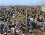 Female members of the German military in a prisoner of war camp for women at Regensburg, Germany, 8 May 1945