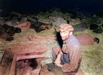 A French Jew at a subcamp of the Mittelbau-Dora Concentration Camp, Nordhausen, Germany, Apr 1945