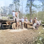 Men loading cut timber onto a truck, Jerome War Relocation Center, Arkansas, United States, 18 Nov 1942, photo 3 of 3