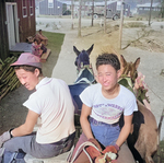 Mule wagon at Jerome War Relocation Center, Arkansas, United States, 18 Nov 1942, photo 6 of 6