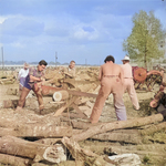 Japanese-American internees cutting a red oak log, Jerome War Relocation Center, Arkansas, United States, 17 Nov 1942