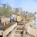 Men working at a saw mill, Jerome War Relocation Center, Arkansas, United States, 16 Nov 1942, photo 2 of 2