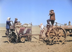 Japanese-American farmers operating a rotary potato planter, Tule Lake Relocation Center, Newell, California, United States, 1 Jul 1945, photo 2 of 2