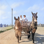 Mule wagon at Jerome War Relocation Center, Arkansas, United States, 18 Nov 1942, photo 3 of 6