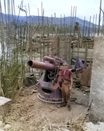 Japanese 200mm coastal defense gun at Bangi Point, Agat beachhead, Guam, Mariana Islands, 5 Oct 1944; note the incomplete revetment