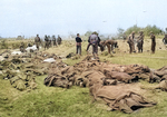 Remains of killed American soldiers gathered in a field, Normandy, France, early Jun 1944