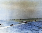 DUKW amphibious trucks operating off Normandy, 11 Jun 1944