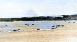 US Army troops aboard LCVP landing craft sailing toward invasion beaches on Ie Shima, Okinawa, Japan, 16 Apr 1945