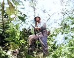 Men of Company K, 3rd Battalion, US 27th Infantry Regiment along the Zieta Trail, New Georgia, Solomon Islands, 12 Aug 1943