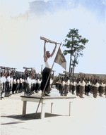 African-American troops of the US Army performing daily rifle calisthenics, Field Artillery Replacement Center, Fort Bragg, North Carolina, United States, Feb 1943