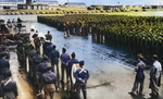 Sergio Osmeña speaking to troops of the US Army 1st Filipino Infantry Regiment, Camp San Luis Obispo, California, United States, 1942-1944